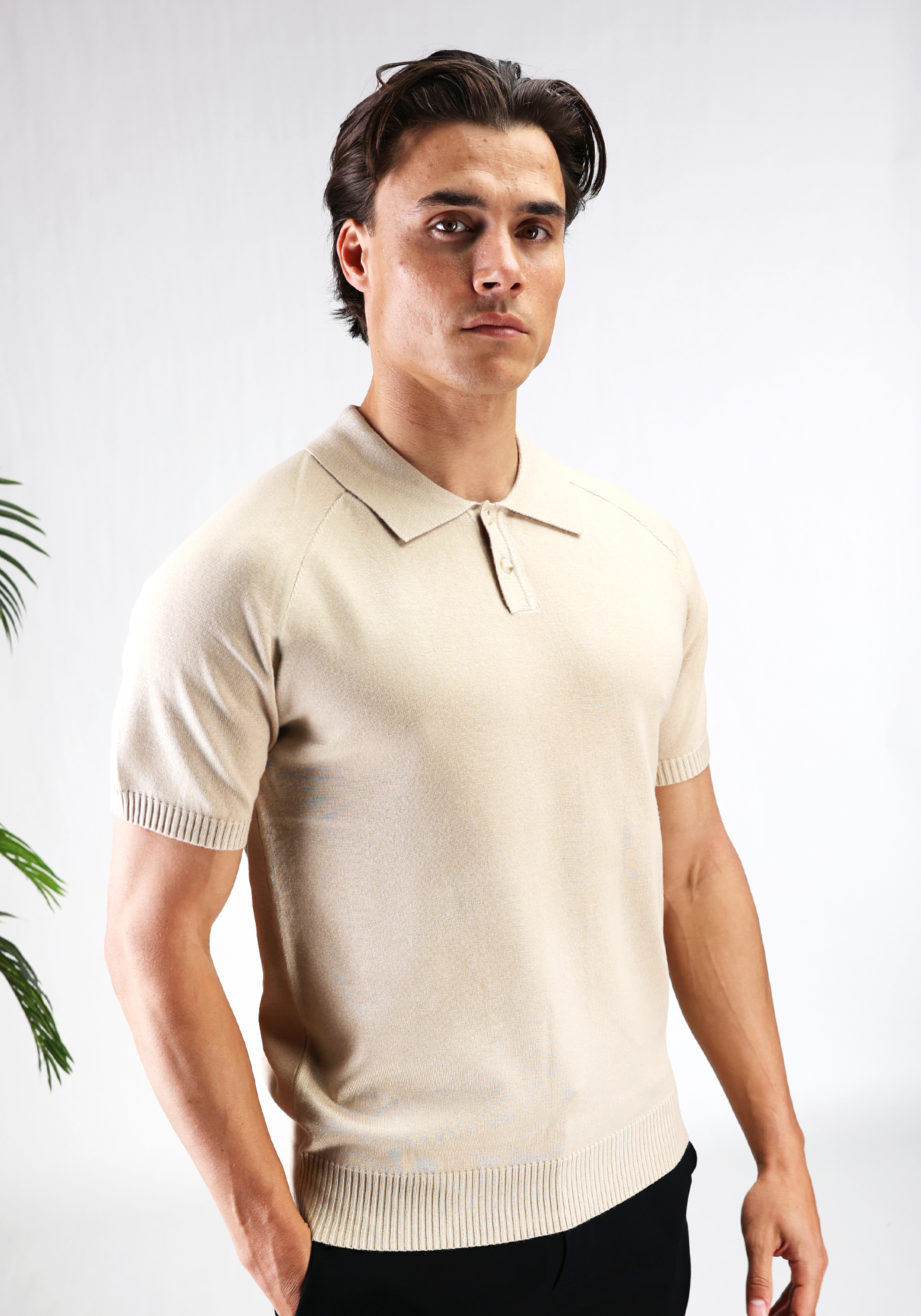 blend polo beige 3